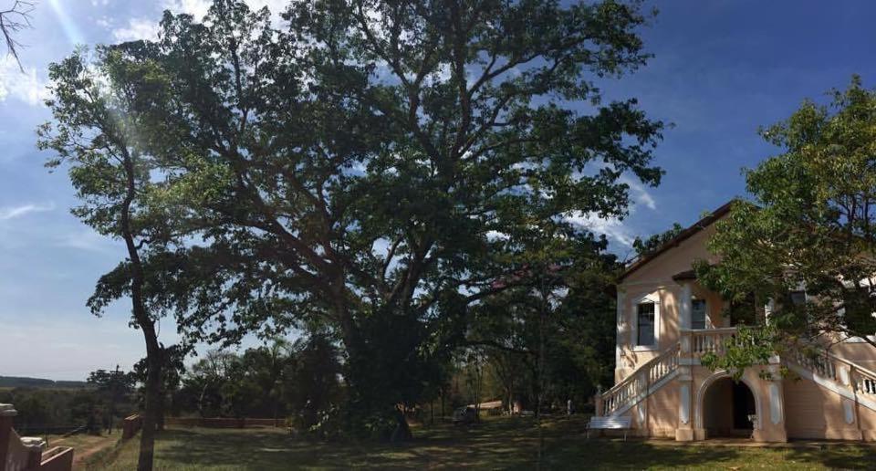 Chales Na Fazenda Santo Antonio de Posse Exterior photo