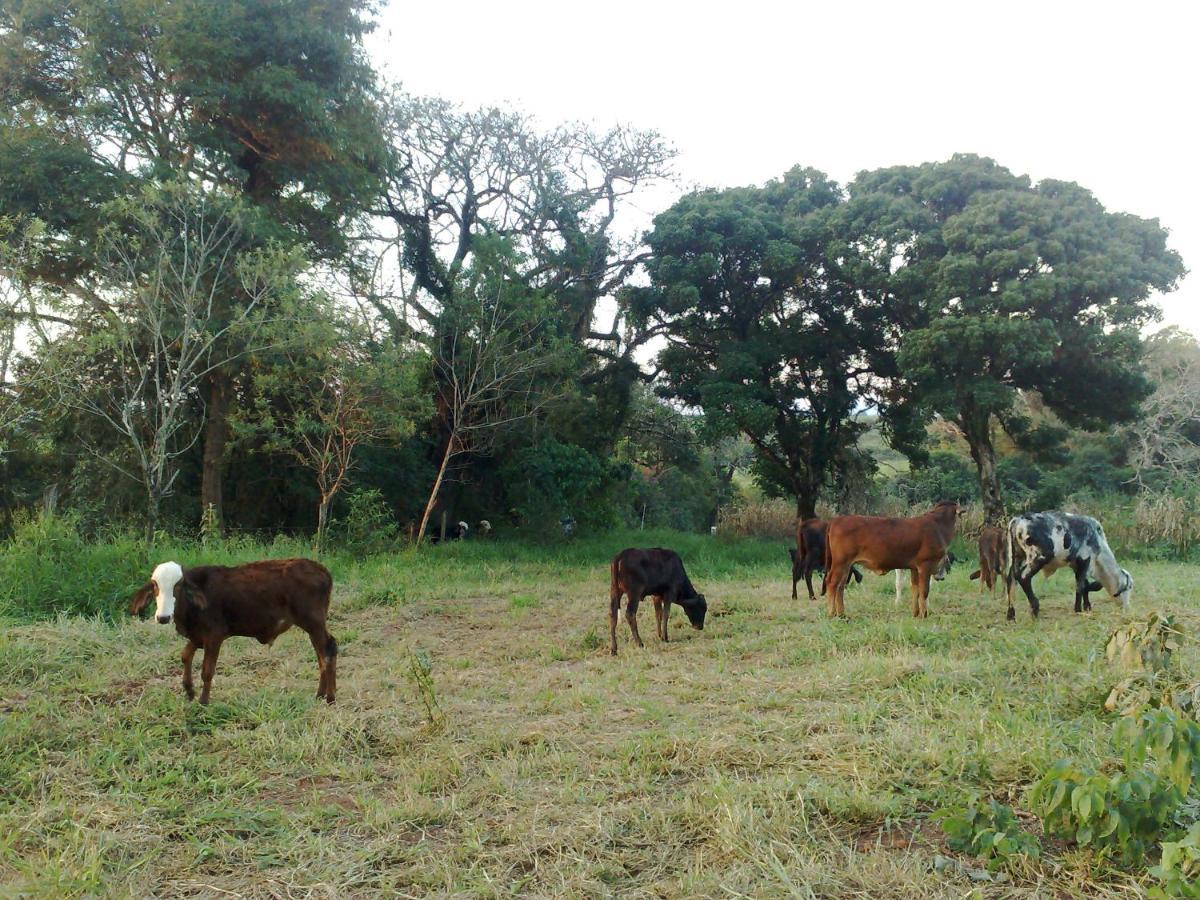 Chales Na Fazenda Santo Antonio de Posse Exterior photo